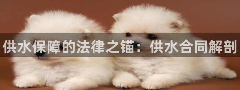 球友会官方网站入口