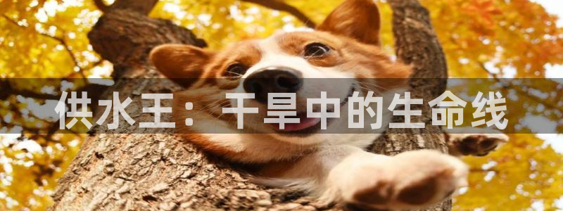 球友会官网登录入口手机版