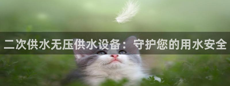 QY球友会官网