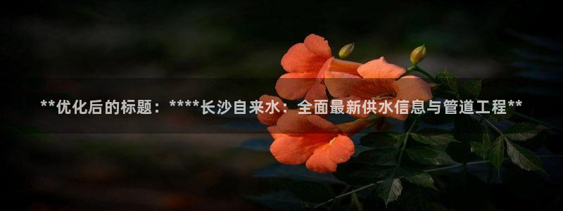 qy球友会体育官网下载