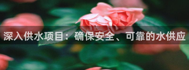 球友会比赛结果查询