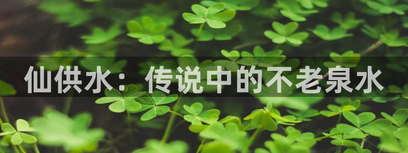 球友会体育官网