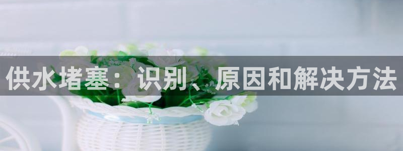 球友会登录网站