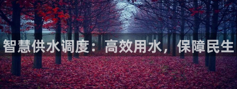 球友会体育