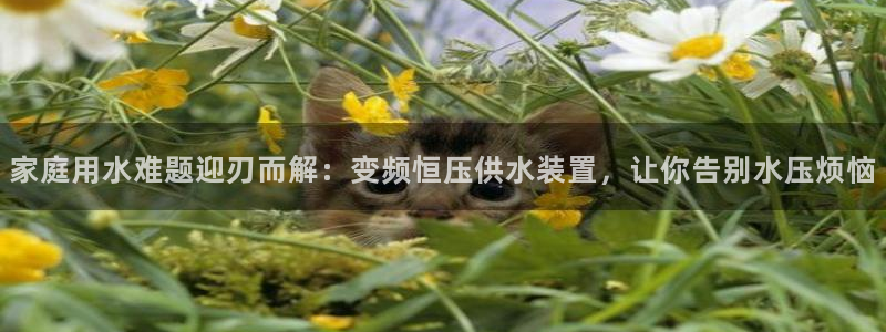 球友会曼联赛事