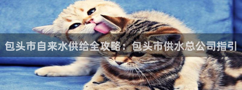 球友会app官网下载苹果