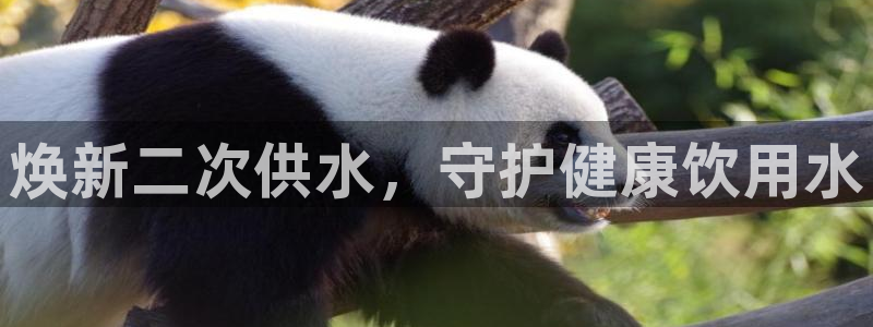 球友会下载