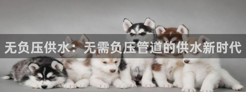 球友会app官方网站
