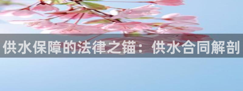 球友会提款审核中