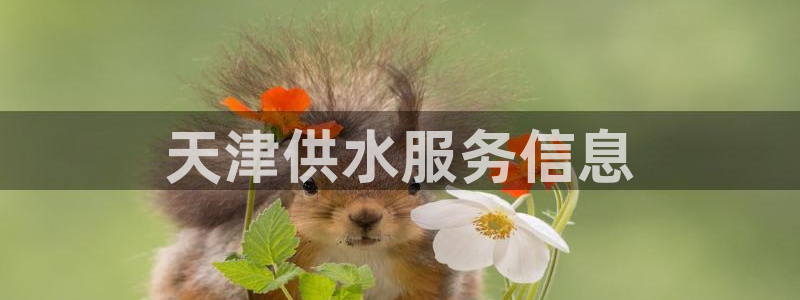球友会体育app下载官网安卓
