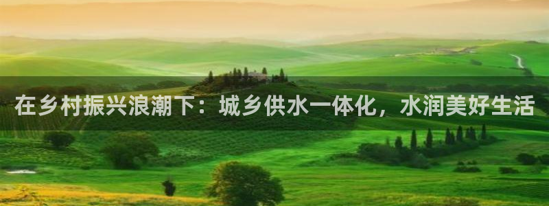 球友会提款不到账