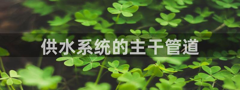 球友会比赛结果查询官网
