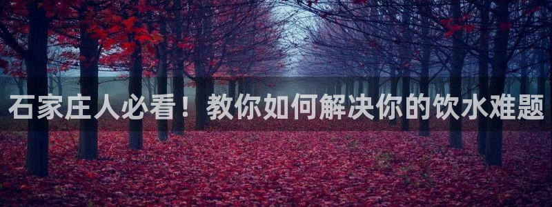 球友会app官网下载安卓