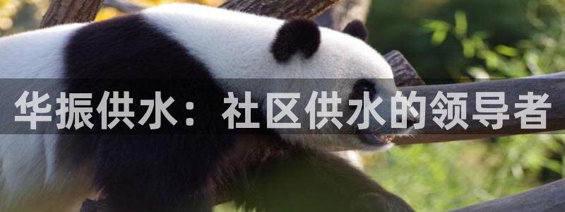 球友会app网址