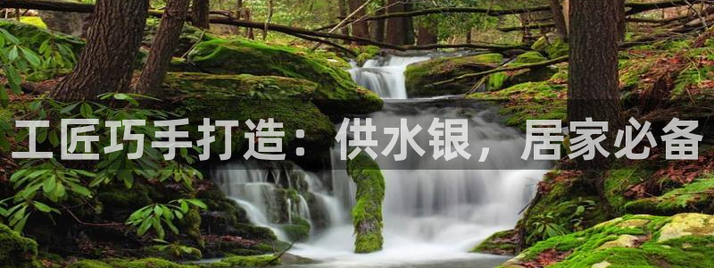 球友会app官方网站下载
