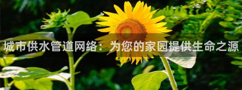 球友会台球俱乐部