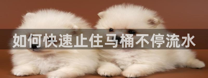 球友会提现不到账