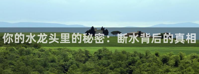 球友会是什么
