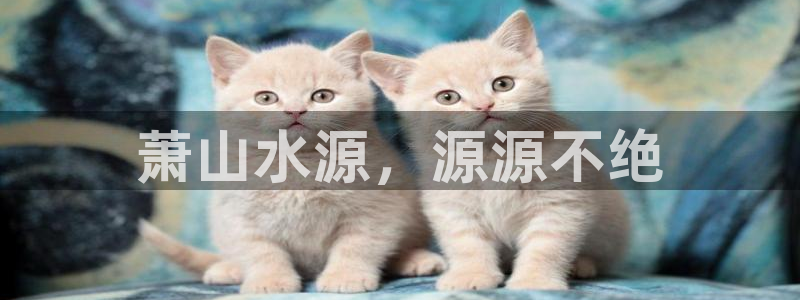 球友会台球俱乐部在哪