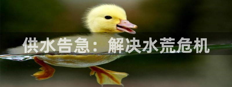 qy球友会体育怎么样