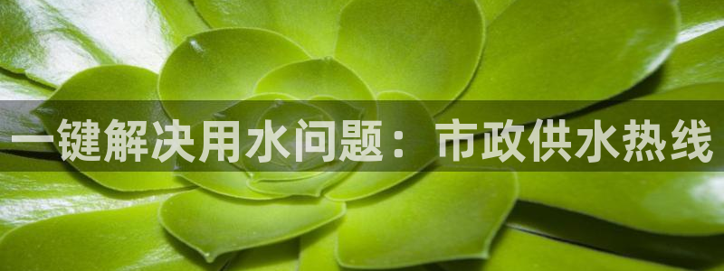 球友会为什么能上百度官方