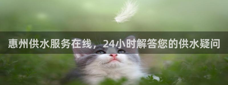 球友会审核