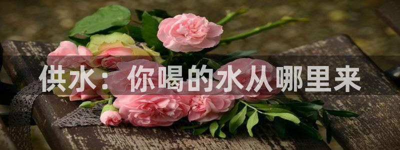 球友会体育官网