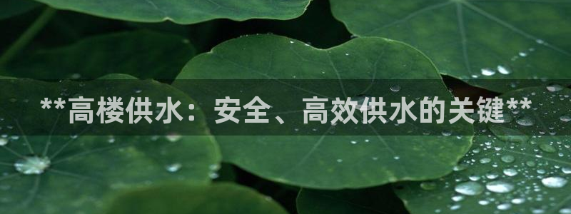 球友会审核