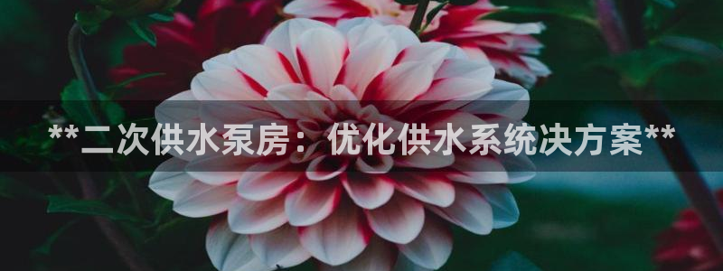 QY球友会官网