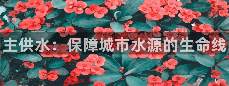 球友会体育app官方版下载安装最新