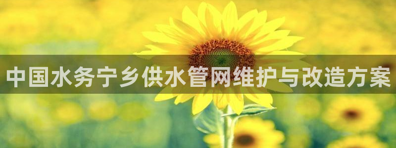 球友会英文怎么说呢翻译