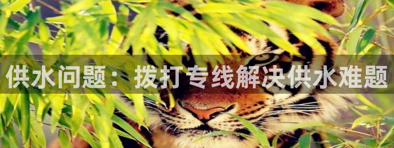 关键词