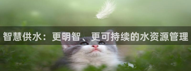 球友会联赛