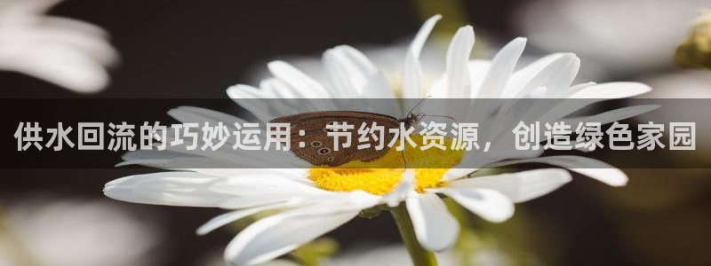 球友会体育app下载官网