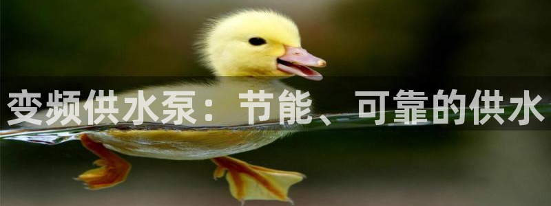 球友会app干啥的软件
