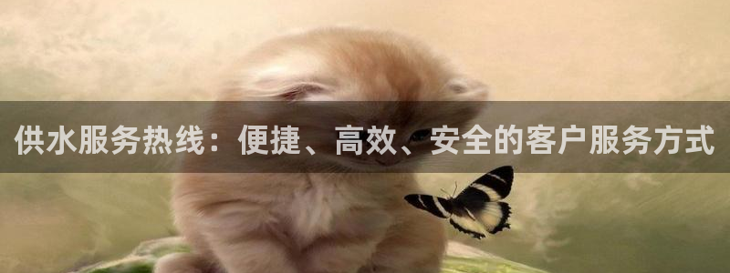 球友会提款审核