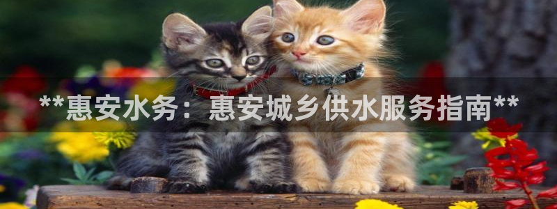 球友会不出款