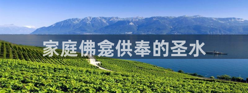 球友会体育app官方版下载安装苹果手机
