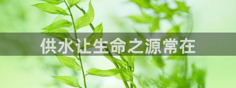 qy球友会体育官方平台