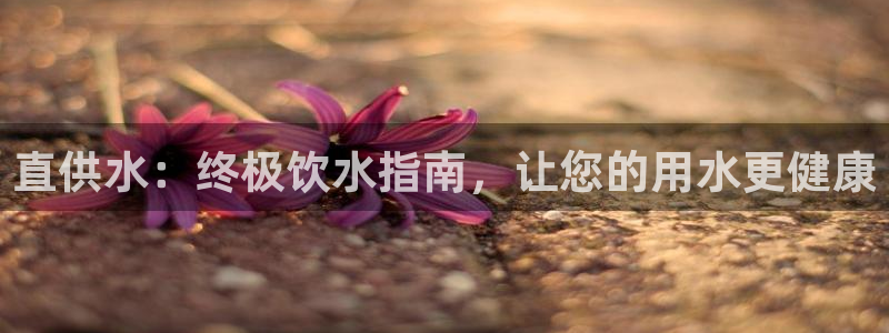 qy球友会体育官下载