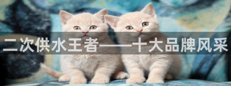 球友会app网址