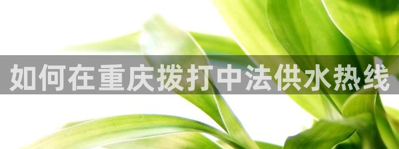 球友会提现