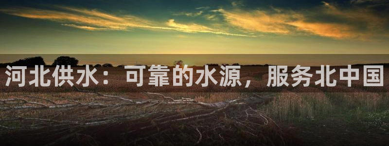 球友会体育app下载官网