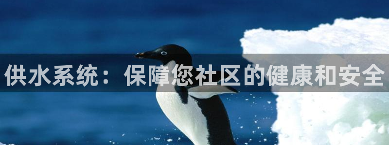 球友会比赛结果查询官网