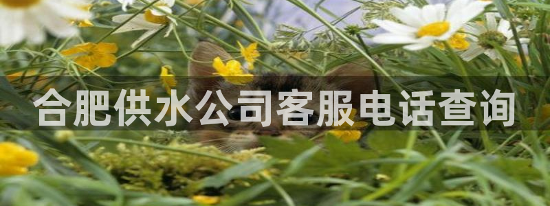 球友会软件