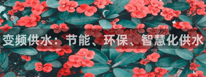 球友会聚餐发言简短