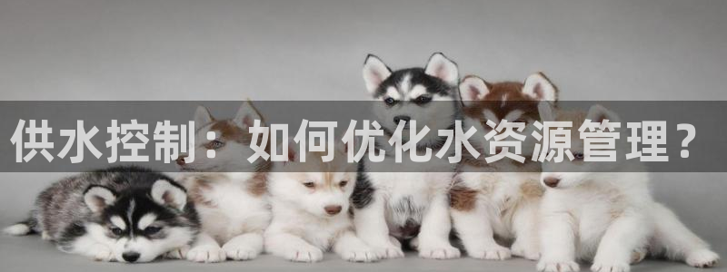 球友会App