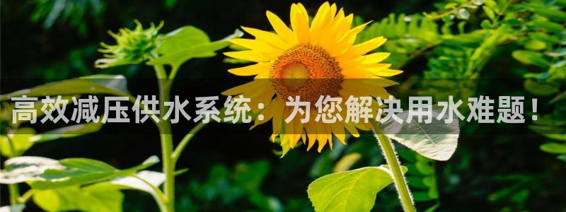 球友会QY