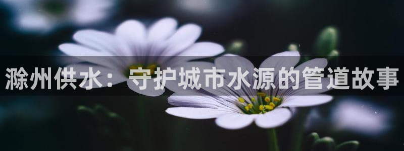 球友会官网入口在哪里